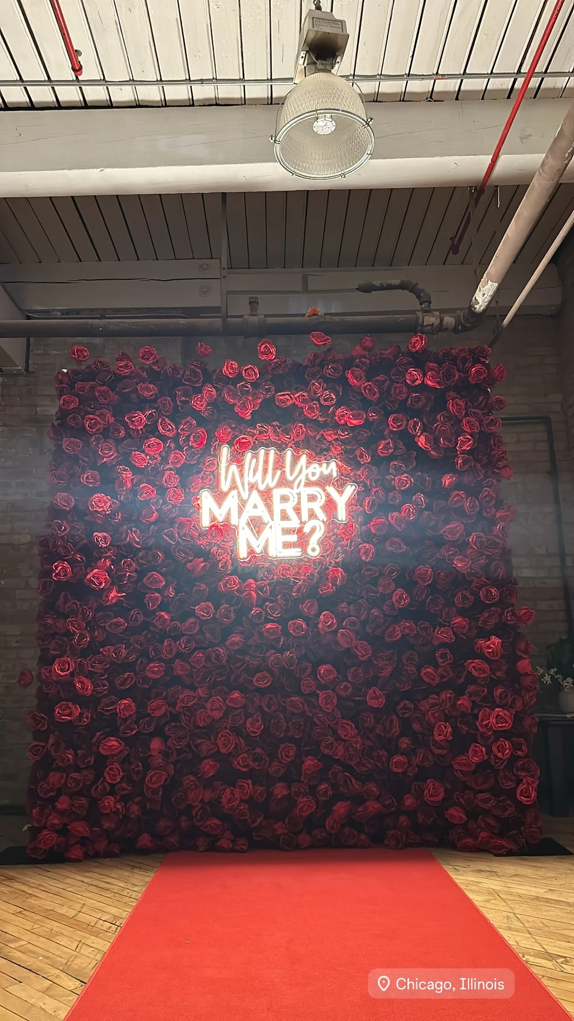 Flower wall rental in Chicago — full red rose flower wall with a white Will You Marry Me neon sign and a red carpet in an industrial brick room