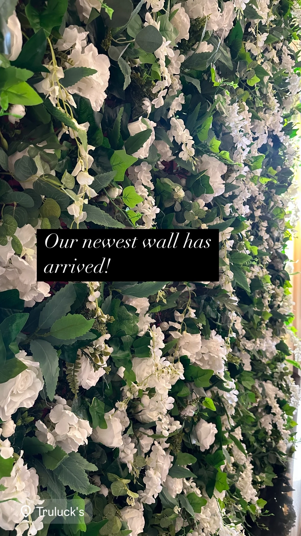 Flower wall rental in Chicago — close-up of the newest green and white flower wall with white roses and hanging blossoms at Truluck's